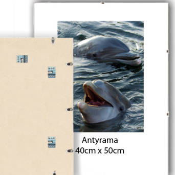 Antyrama plexi 40x50