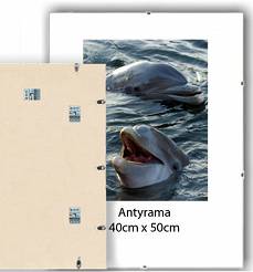 Antyrama plexi 40x50