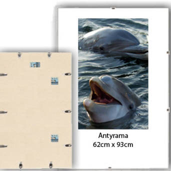 Antyrama plexi 61x91.5