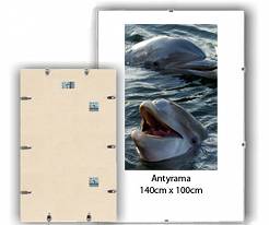 Antyrama plexi 140x100